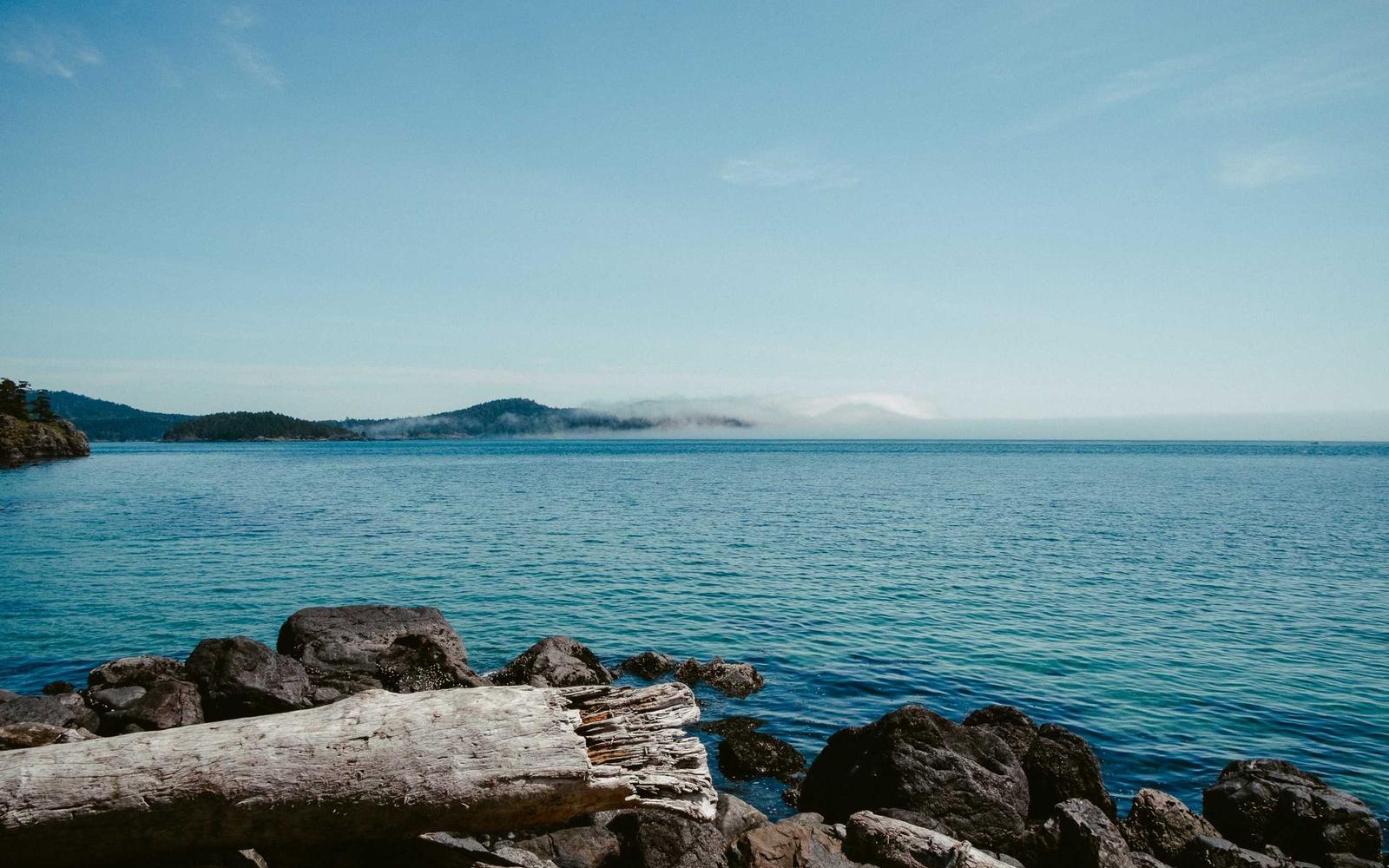 Freshly cleaned living room
